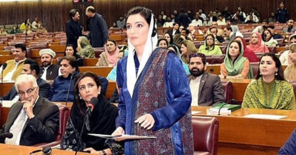 Aseefa Bhutto criticises budget, calls for unity and relief for masses