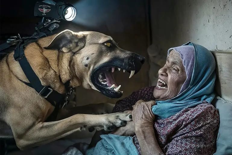 Israeli police dog attack on elderly Palestinian woman sparks outrage