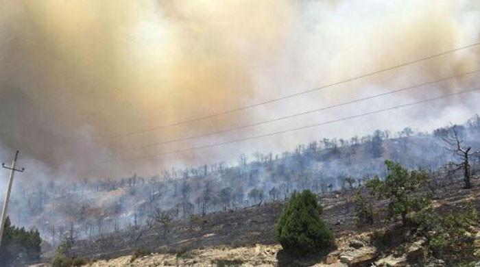 Russia declares emergency in Novorossiisk as forest fires spread