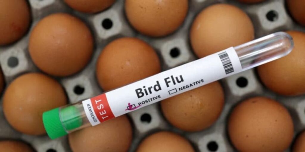 US Pumps 176 Million into Moderna for Game Changing Bird Flu Vaccine Pakistan News Today