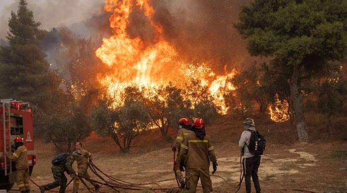 Athens suburbs burn, Greece seeks EU help to battle wildfires