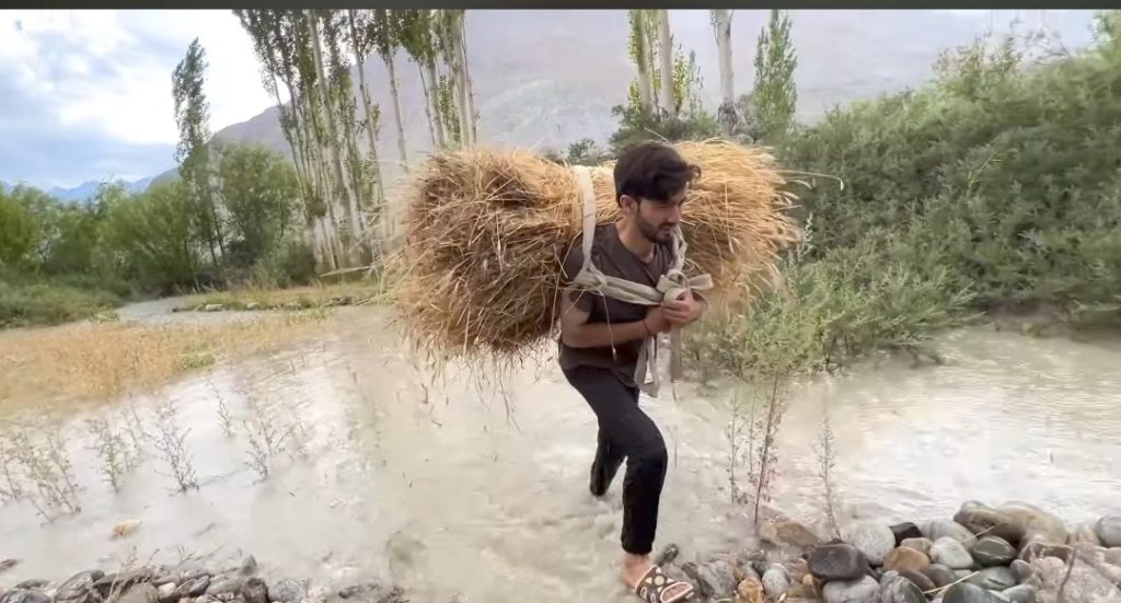 Muhammad Shiraz's Update About Flood In His Village & Appeal to Government