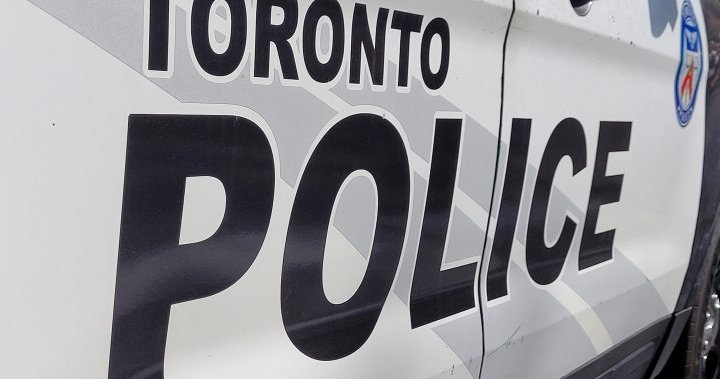 Man pulled from Torontos Bluffers Park Beach dies in hospital Pakistan News Today