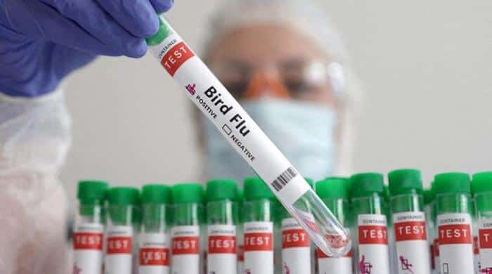 Canada reports first human case of bird flu in teenager Pakistan News Today