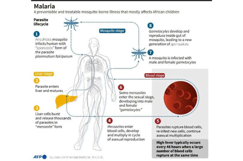 Malaria